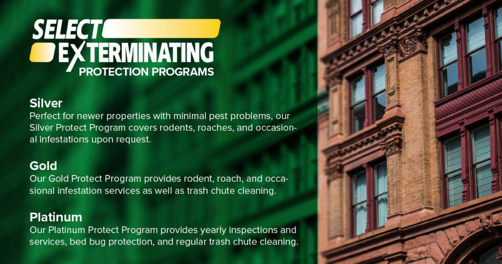 Perfect for properties with minimal pest issues, our Silver Protect Program covers rodents, roaches, and occasional infestations upon request. Our Gold Protect Program provides rodent, roach, and occasional infestation services as well as trash chute cleaning. Our Platinum Protect Program provides yearly inspections and services, bed bug protection, and regular trash chute cleaning.